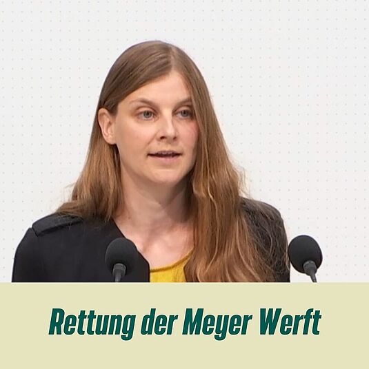 Anne Kura bei einer Rede im Plenum des Niedersächsischen Landtags. Darunter die grüne Schrift: Rettung der Meyer Werft