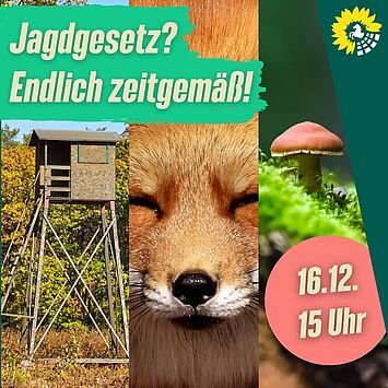 Jagdgesetz: Zeit für ein Update! 🌿 

🤔 Wie kann ein modernes Jagdgesetz aussehen, das Tierschutz, Ökologie und Tradition...